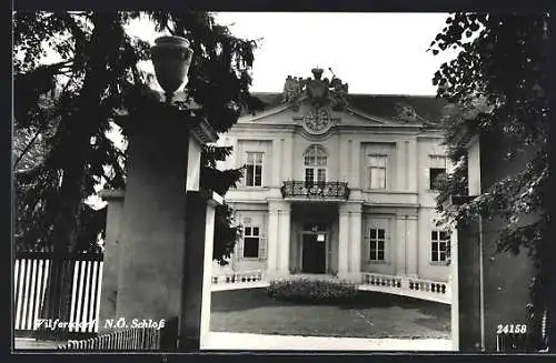 AK Wilfersdorf /N.-Ö., Schloss