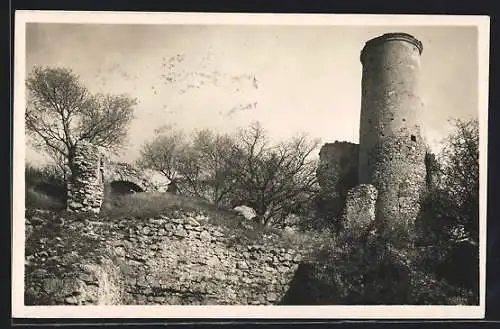 AK Falkenstein /N.-Oe., Ruine