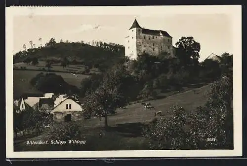 AK Sittendorf, Schloss Wildegg