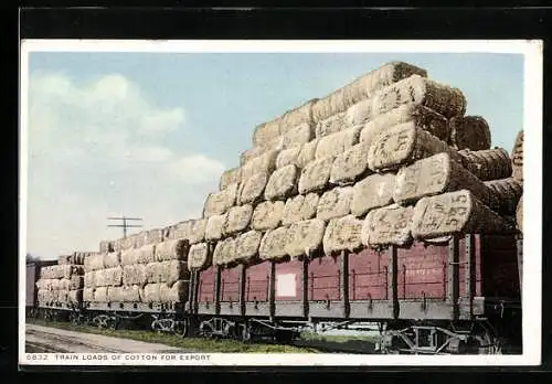 AK Train Loads of Cotton for Export