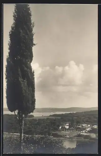AK Briori i. d. Adria, Küstenblick mit einer Cypresse