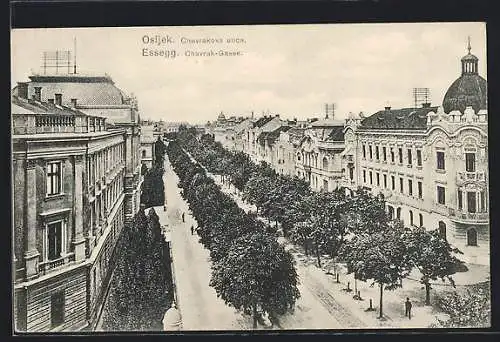 AK Osijek, Chavrakova ulica