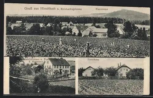 AK Hirschbach / Glashütte, Geschäftshaus mit Postlifstelle, Forsthaus, Panorama