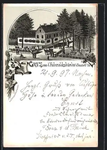 Lithographie Neustadt i. Sa., Gasthaus Hohwaldschänke