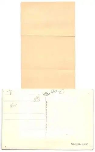 Leporello-AK Lázne Podebrady, Hotel, Strassenpartie, Denkmal