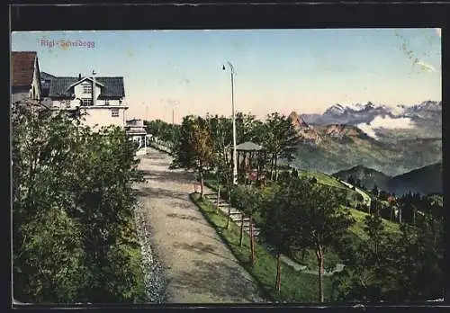 AK Rigi-Scheidegg, Strassenpartie mit Bergpanorama