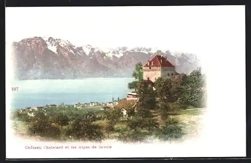 AK Montreux, Chateau Chatelard et les Alpes de Savoie