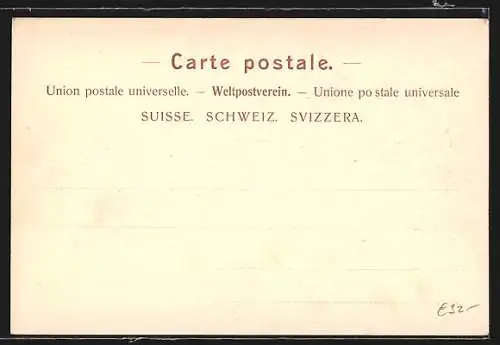 AK Luzern, Ortsansicht mit Hofkirche