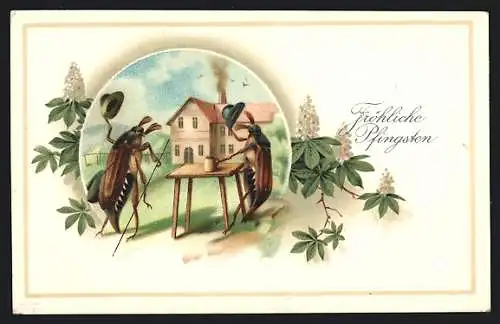 Passepartout-Lithographie Maikäfer beim Bier grüsst Maikäfer-Passanten, Pfingstgruss