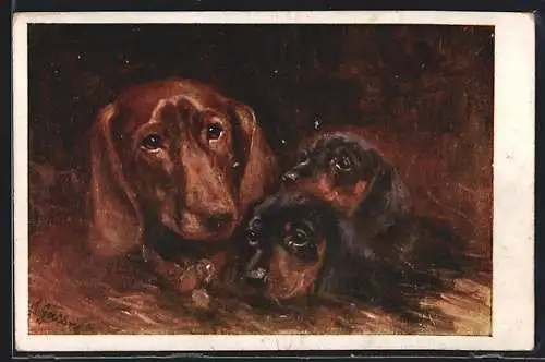 Künstler-AK Dackel mit Welpen
