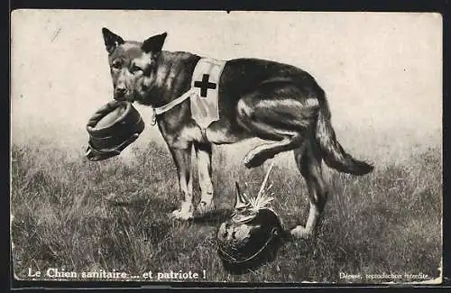 AK Franzöischer Sanitätshund pinkelt auf die deutsche Pickelhaube