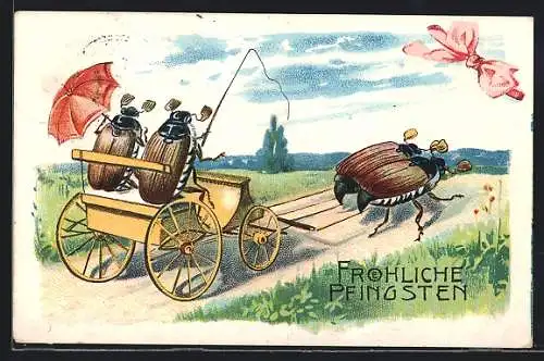 Künstler-AK Maikäfer-Paar in Maikäfer-Kutsche auf der Landstrasse, Pfingstgruss