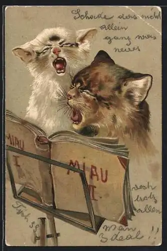 AK Zwei Katzen vor einem Gesangbuch