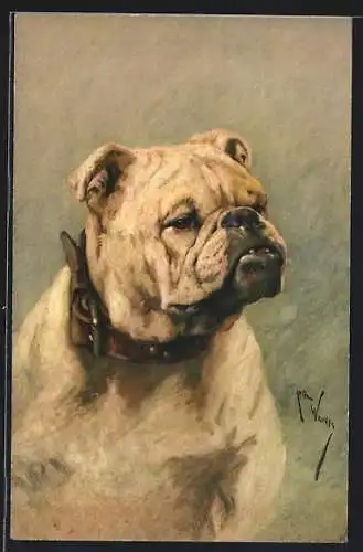 Künstler-AK Portrait einer Bulldogge mit Halsband