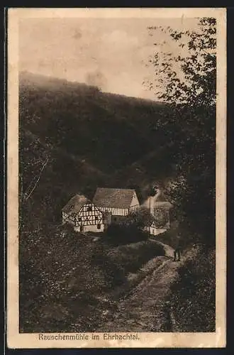 AK Rauschenmühle im Ehrbachtal, Ortsansicht aus der Vogelschau