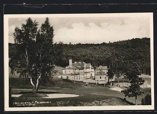 AK Felbring, Heilanstalt Felbring und Restaurant Hohe Wand