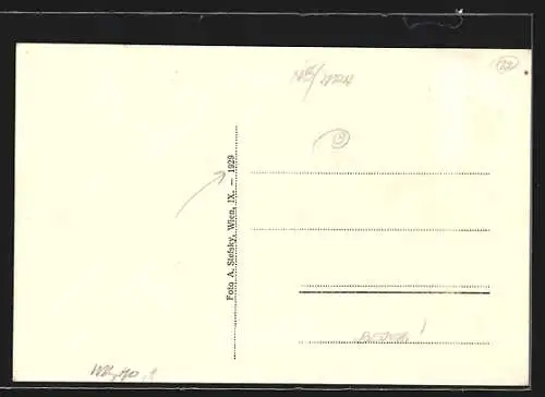 AK Felbring, Heilanstalt Felbring und Restaurant Hohe Wand