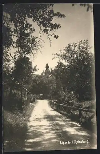 AK Reinsberg, Strassenpartie am Ortseingang des Alpendorfes