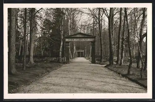 AK Königsfeld i. Schw., Gottesacker-Allee