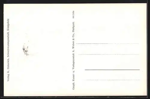 AK Königsfeld i. Schw., Idyll am Donisweiher