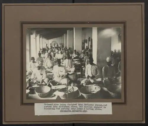 9 Fotografien J. K. Das, Calcutta, Ansicht Bihar / Indien, Chatturam Horilram Ltd. Glimmer / Mica Bergbau & Minen Firma