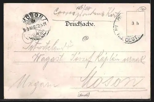 AK Gutenstein, Ortsansicht im Jahre 1903