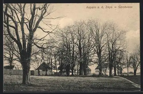 AK Asparn /Zaya, An der Schlosswiese