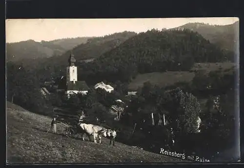 AK Reinsberg, Rindergespann vor der Kirche, Ruine im Hintergrund