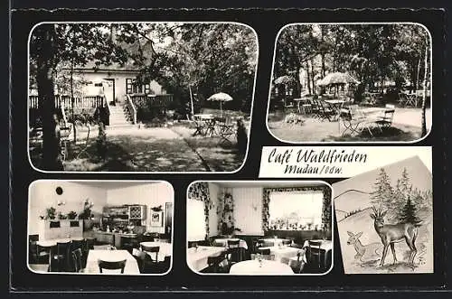 AK Mudau /Odw., Cafe Waldfrieden W. Müller mit Garten u. Innenansichten