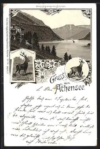Lithographie Scholastika, Ortsansicht, Blick über den Achensee
