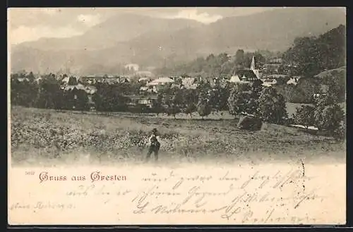 AK Gresten, Wanderer auf dem Feld vor der Ortschaft