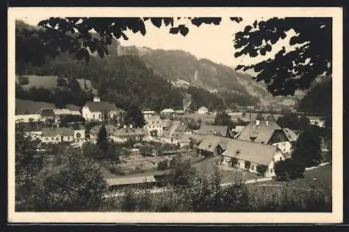 AK Göstling, Ortsansicht vom Waldrand aus