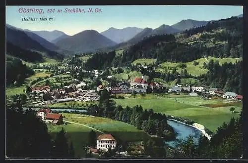 AK Göstling /N.-Oe., Ortsansicht am Fluss vom Berg aus