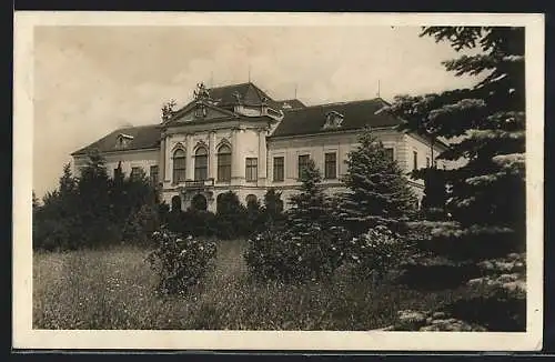 AK Eckartsau /N.-Oe., Wiesenpartie am Schloss