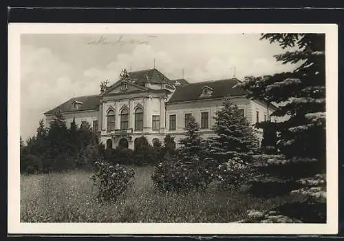 AK Eckartsau /N.-Oe., Blick auf das Schloss