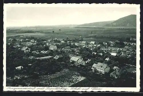 AK Langenzersdorf, Teilansicht mit Leopoldsberg, Blick auf Wien