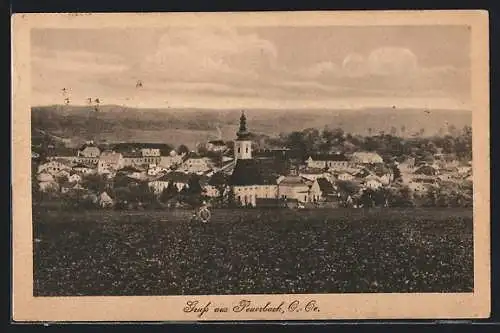 AK Peuerbach, Ortsansicht mit Kirche von der Wiese gesehen