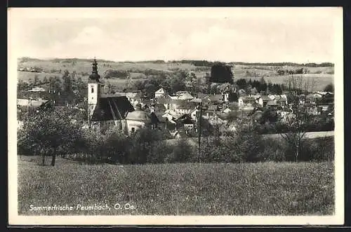 AK Peuerbach, Blick auf Kirche und Ort