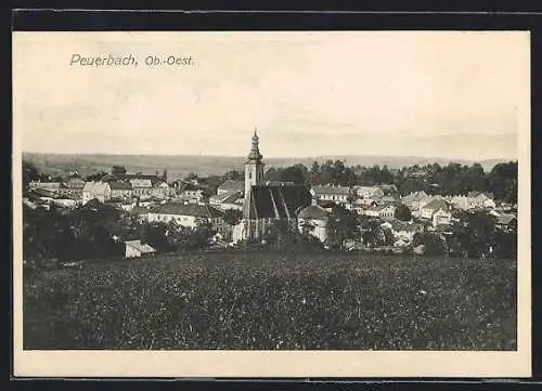 AK Peuerbach, Blick von der Wiese auf die Kirche