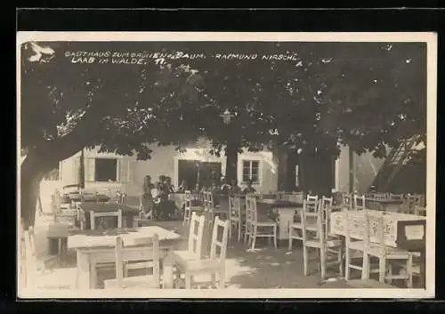 AK Laab im Walde, Gasthaus zum grünen Baum R. Nirschl, Gartenansicht