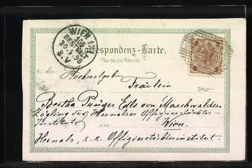 Lithographie Gmünd, Stadtplatz, Kaiser Josef Denkmal, Schloss, Ortsansicht, Wappen