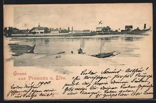 AK Promnitz a. Elbe, Uferpartie