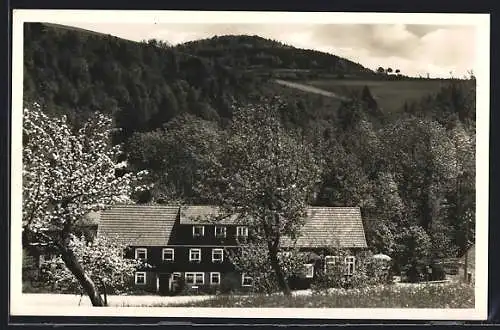 AK Niederfrauendorf /Erzgeb., Waldcafe R. Friebel