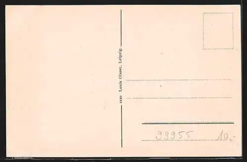 AK Blankenburg i. Thür., Sanatorium Schwarzeck