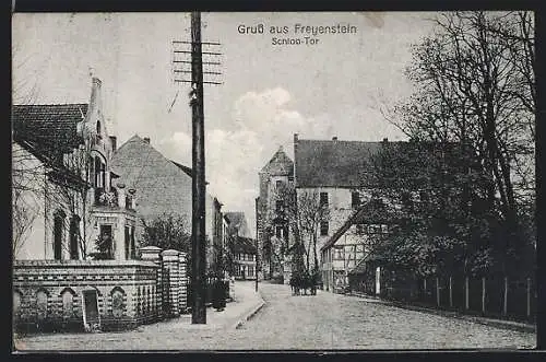AK Freyenstein, Strassenpartie am Schloss-Tor
