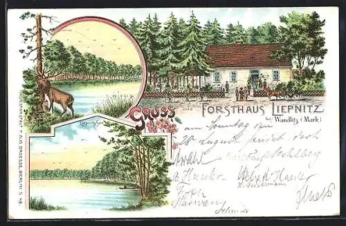 Lithographie Wandlitz /Mark, Gasthaus Forsthaus Liepnitz, Liepnitz-See, Uferpartie