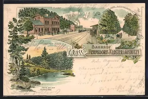 Lithographie Hermsdorf-Klosterlausnitz, Zug am Bahnhof, Strassenpartie