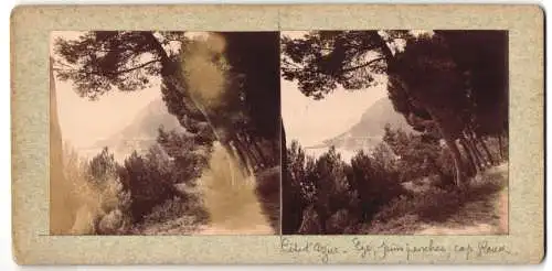 12 Stereo-Fotografien Ansicht Cote d`Azur, Cap Ferrat, Cap Roux, Cap-Martin, Blick von den Bergen, wunderschöne Natur