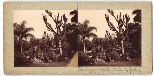 12 Stereo-Fotografien Ansicht Cote d`Azur, Cap Ferrat, Cap Roux, Cap-Martin, Blick von den Bergen, wunderschöne Natur