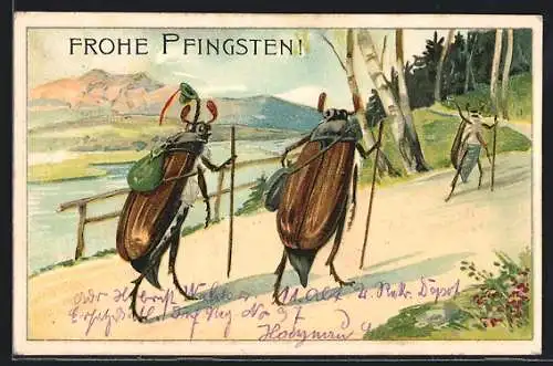 Lithographie Maikäfer auf Wanderschaft, Begegnung an einem Gebirgsfluss, Pfingstgruss